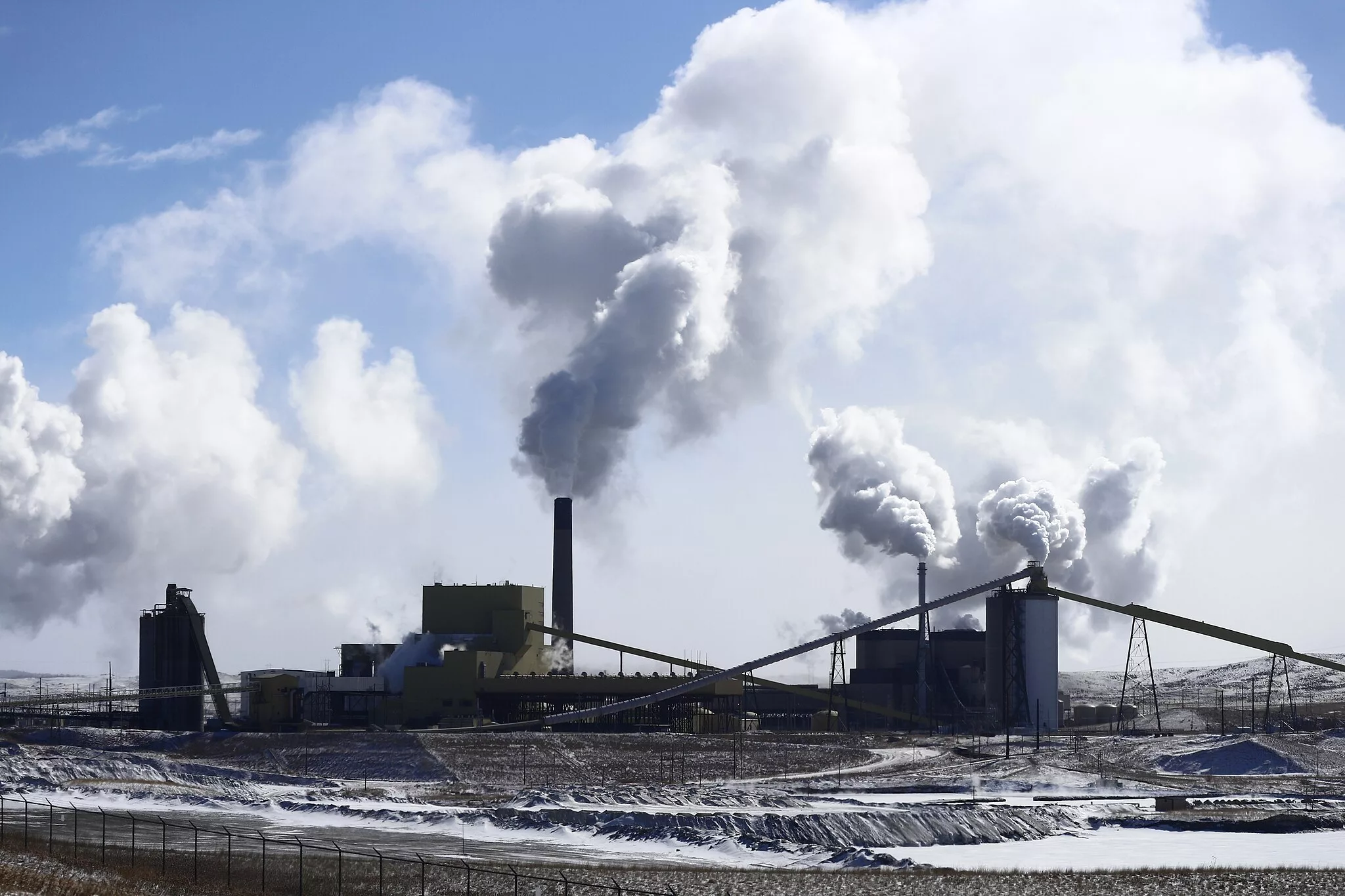 Naperville residents show up to demonstrate support for transitioning off of coal to clean energy