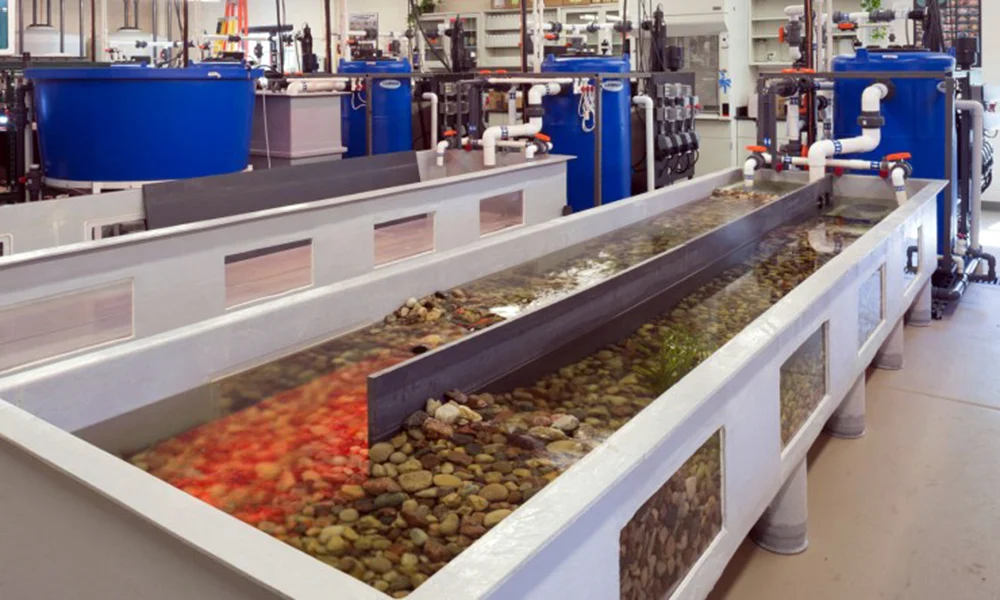NEST Tours of the Urban Stream Research Center